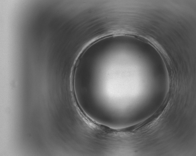 X0000072941246200607282155