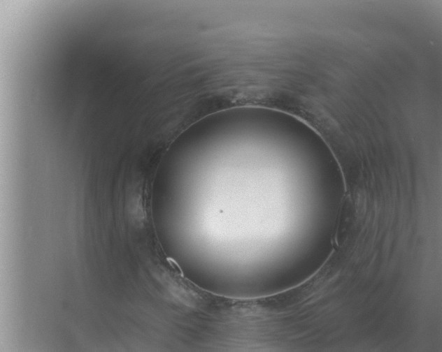 X0000072941250200607282154