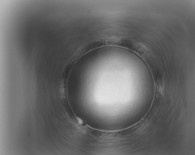 X0000072941252200607282154