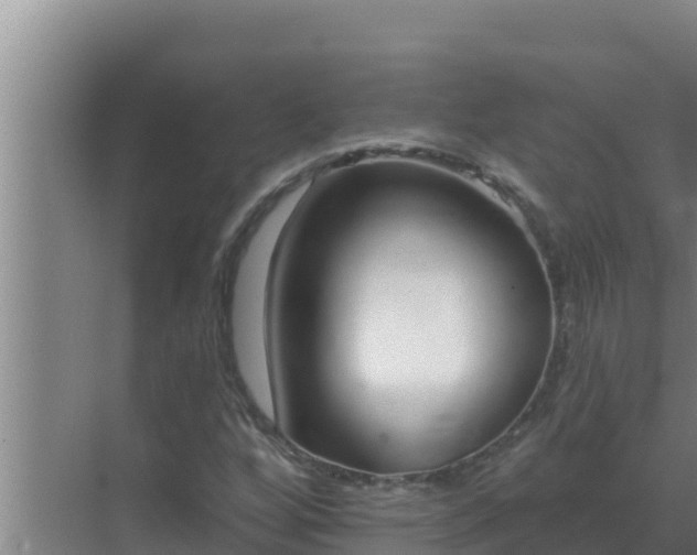 X0000072941256200607282154