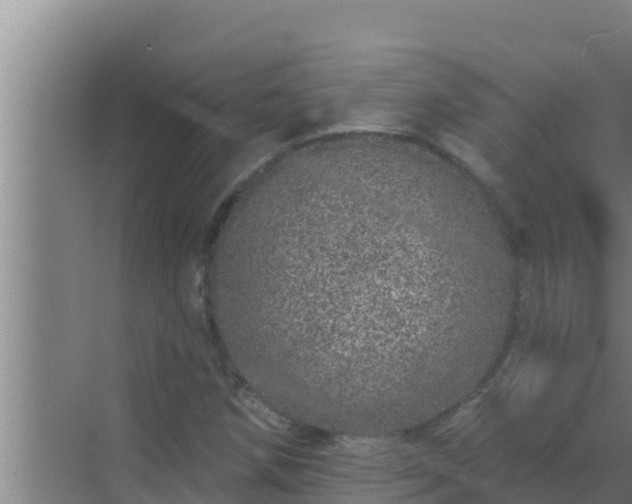 X0000072941258200607282154