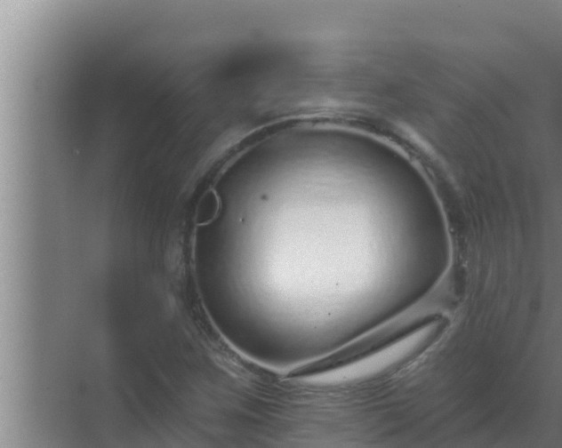 X0000072941259200607282154