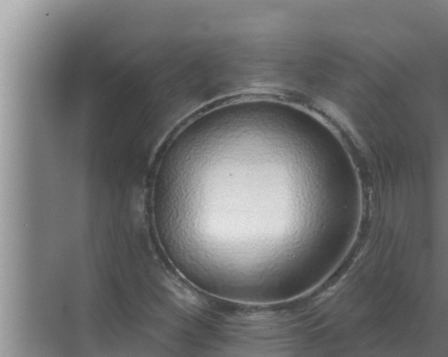 X0000072941260200607282154