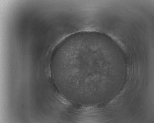 X0000072941262200607282154