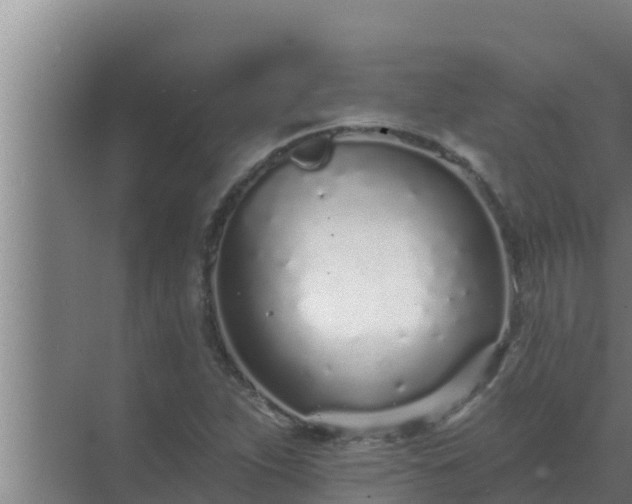 X0000072941263200607282154