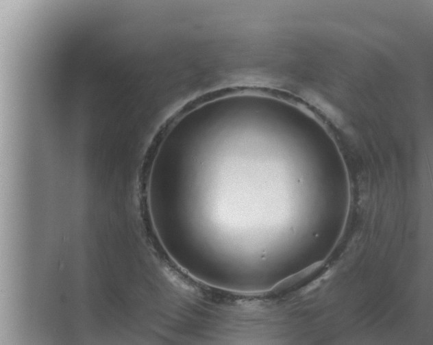 X0000072941264200607282154