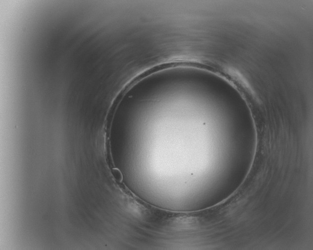 X0000072941268200607282154