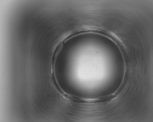 X0000072941269200607282154