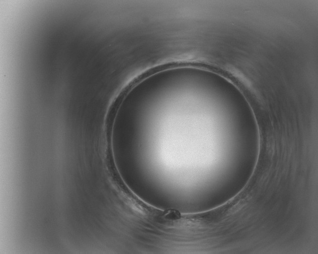 X0000072941270200607282154