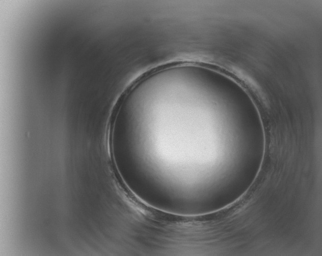 X0000072941272200607282154