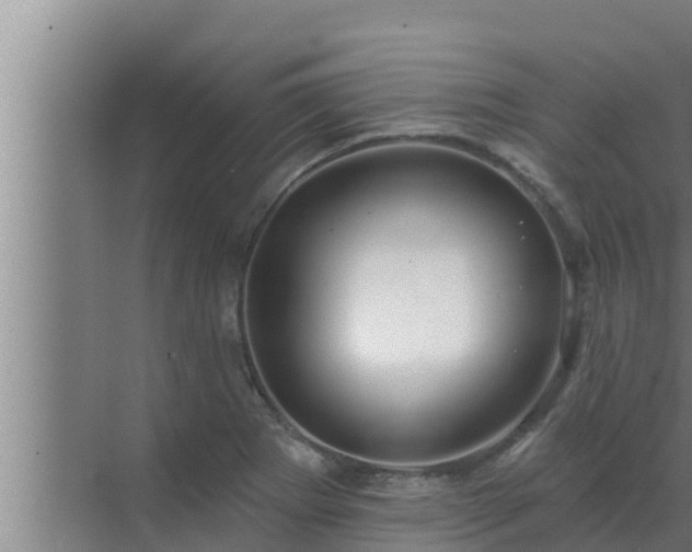 X0000072941273200607282154