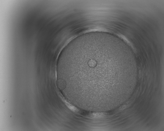 X0000072941274200607282154