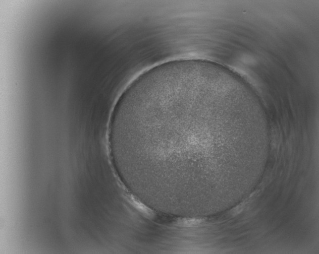 X0000072941278200607282154