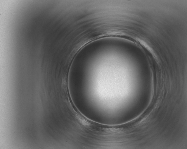 X0000072941281200607282154