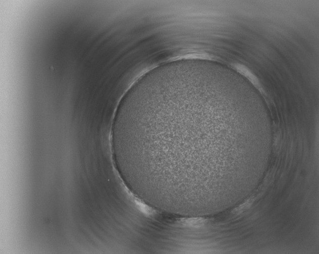 X0000072941282200607282154