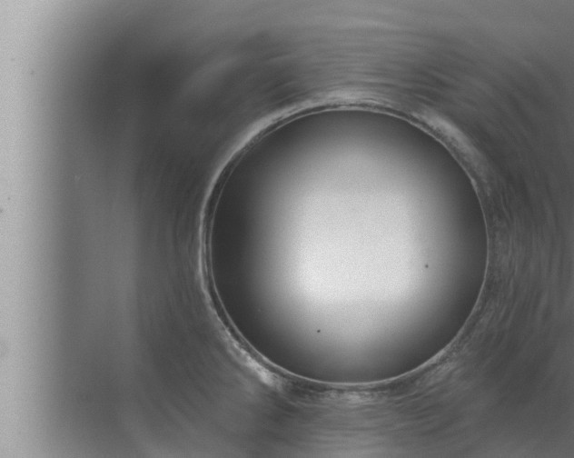 X0000072941286200607282154