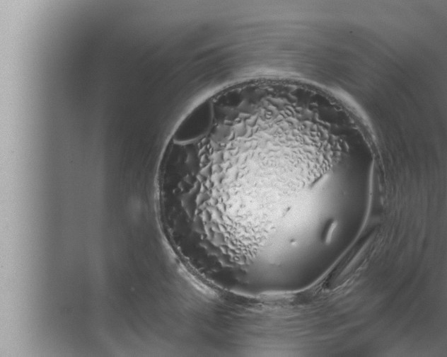 X0000072941287200607282154