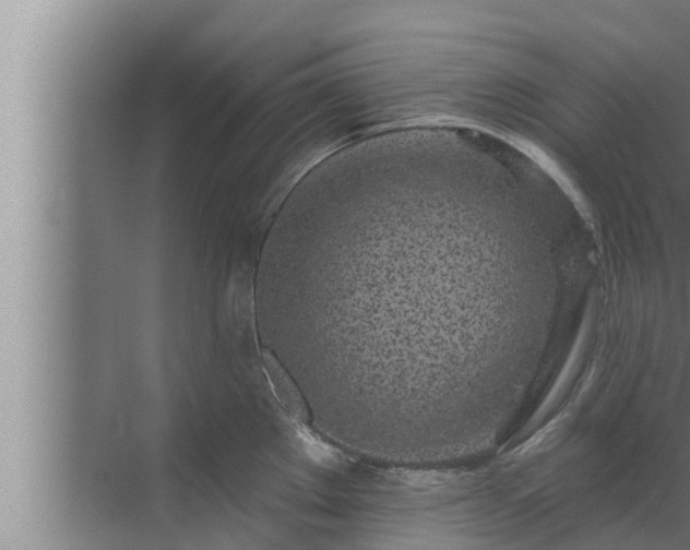 X0000072941289200607282154