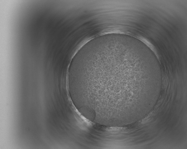 X0000072941290200607282153