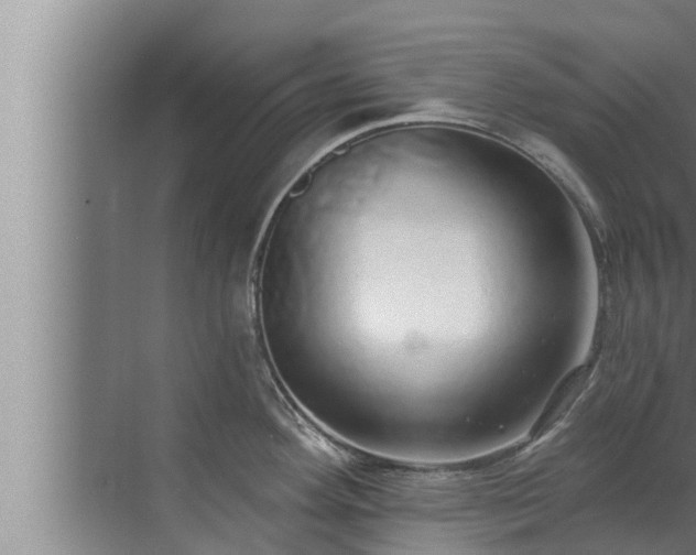 X0000072941292200607282153