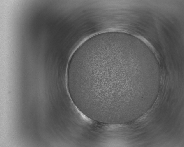 X0000072941294200607282153