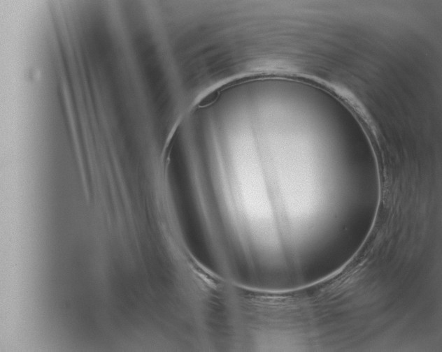 X0000072941295200607282153