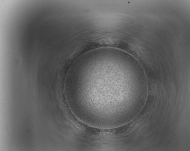 X0000072941297200607282153