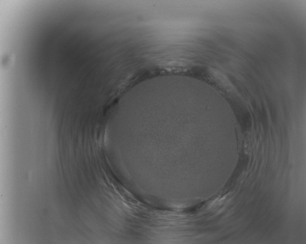 X0000072941298200607282153