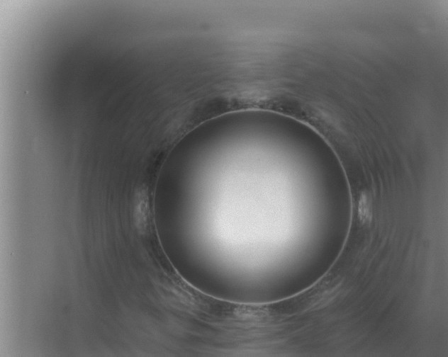 X0000072941299200607282153