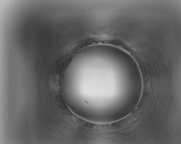 X0000072941301200607282153