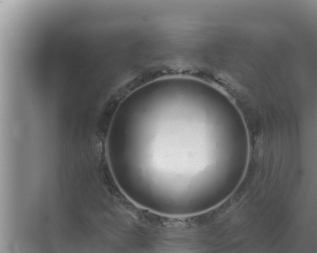 X0000072941302200607282153