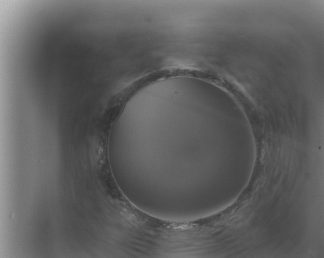 X0000072941303200607282153