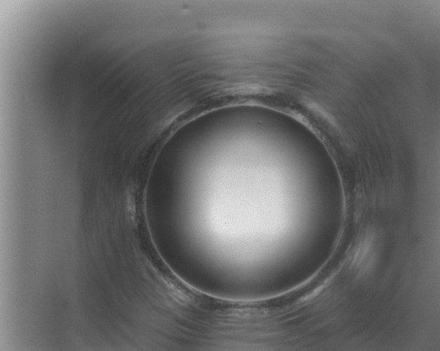 X0000072941305200607282153