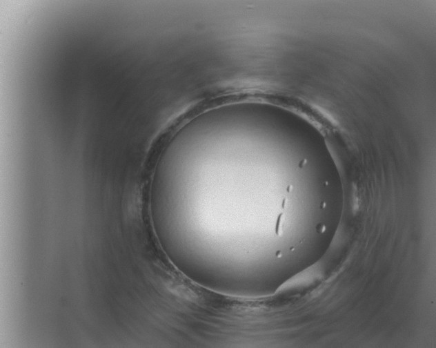 X0000072941309200607282153