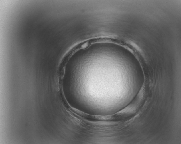 X0000072941310200607282153