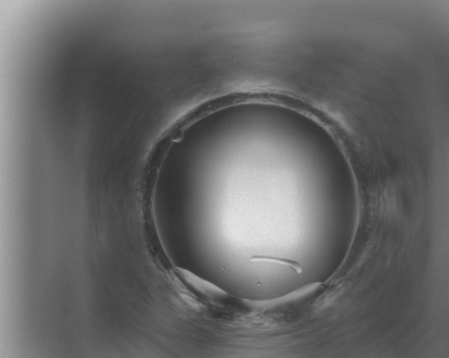 X0000072941311200607282153