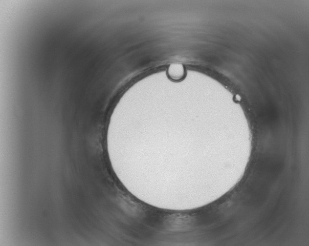 X0000072941314200607282153