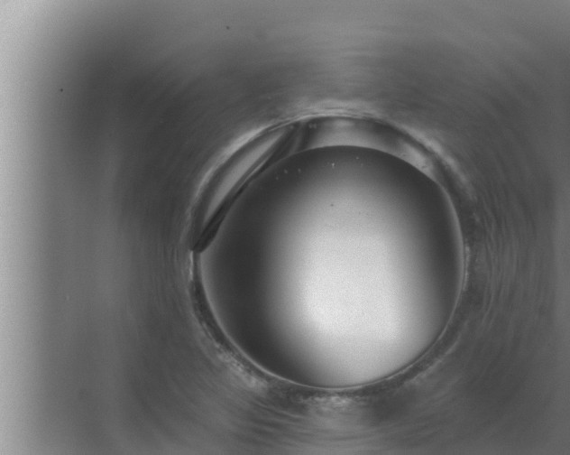 X0000072941317200607282153