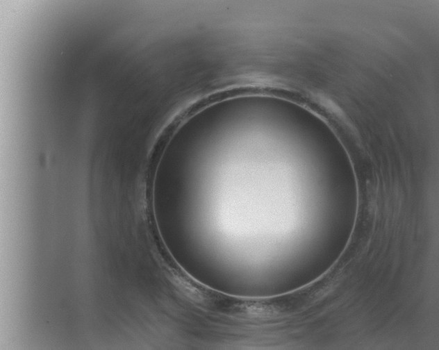 X0000072941318200607282153