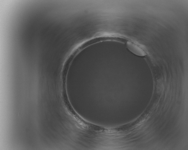 X0000072941319200607282153