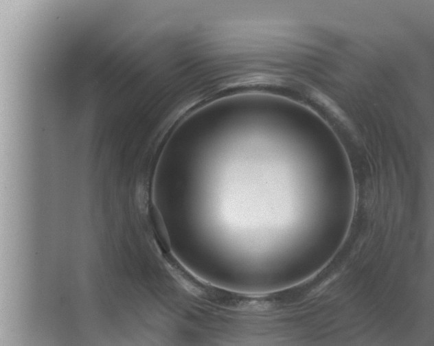 X0000072941321200607282153