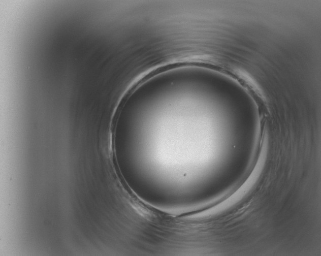 X0000072941324200607282153