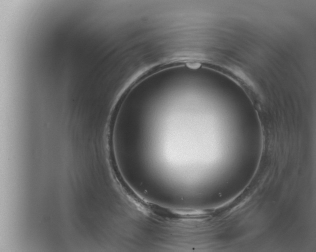 X0000072941325200607282153