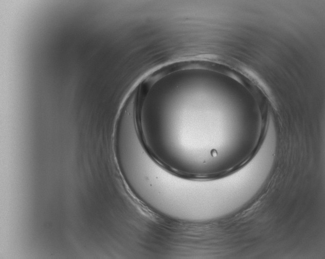 X0000072941332200607282153