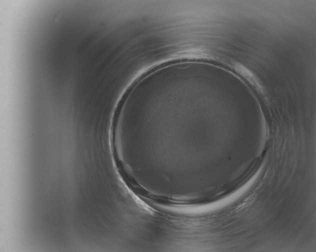 X0000072941334200607282153