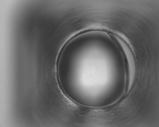 X0000072941335200607282153