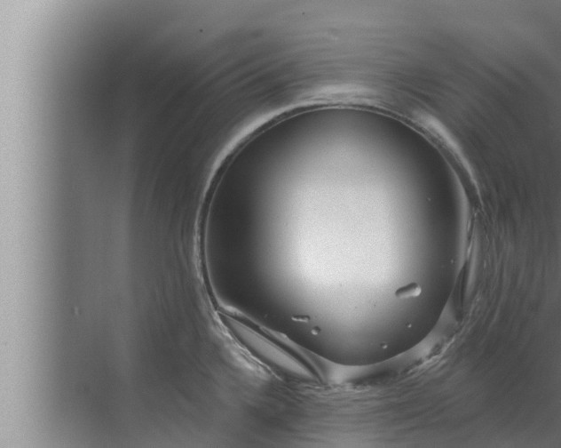 X0000072941336200607282153