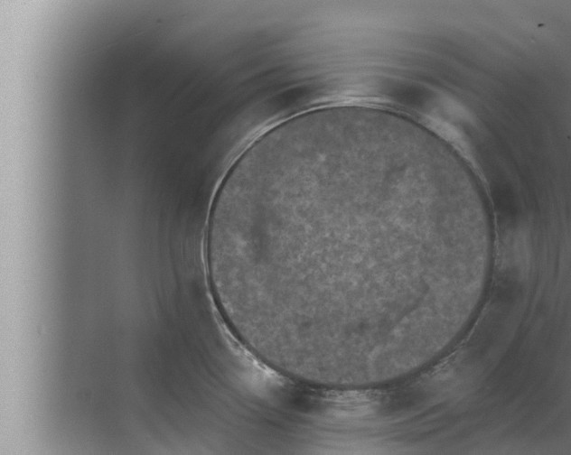 X0000072941338200607282153