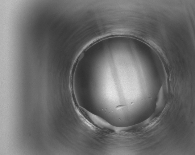 X0000072941342200607282153