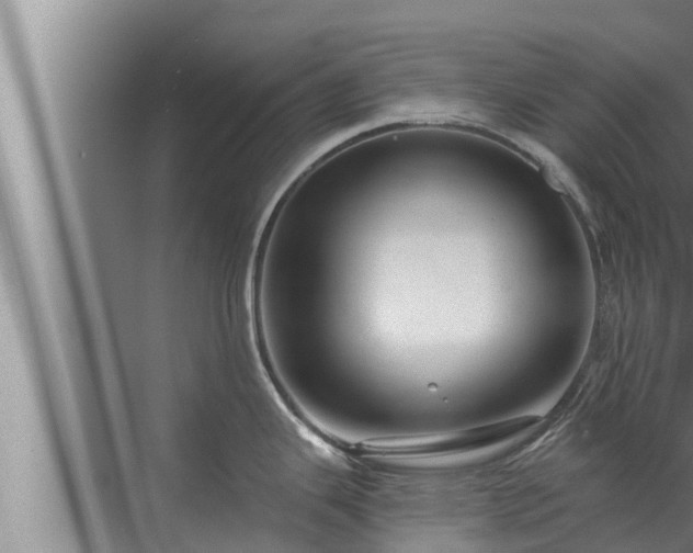 X0000072941343200607282153